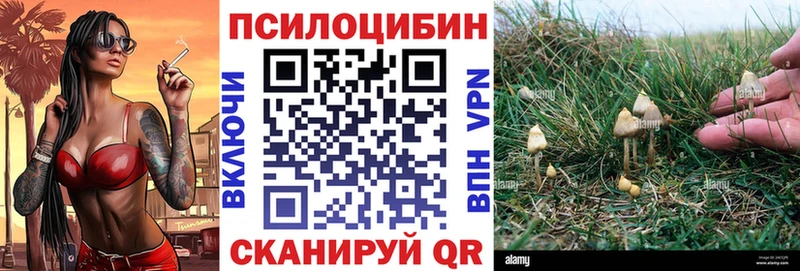 Галлюциногенные грибы прущие грибы Борзя